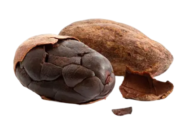 Cocoa shell