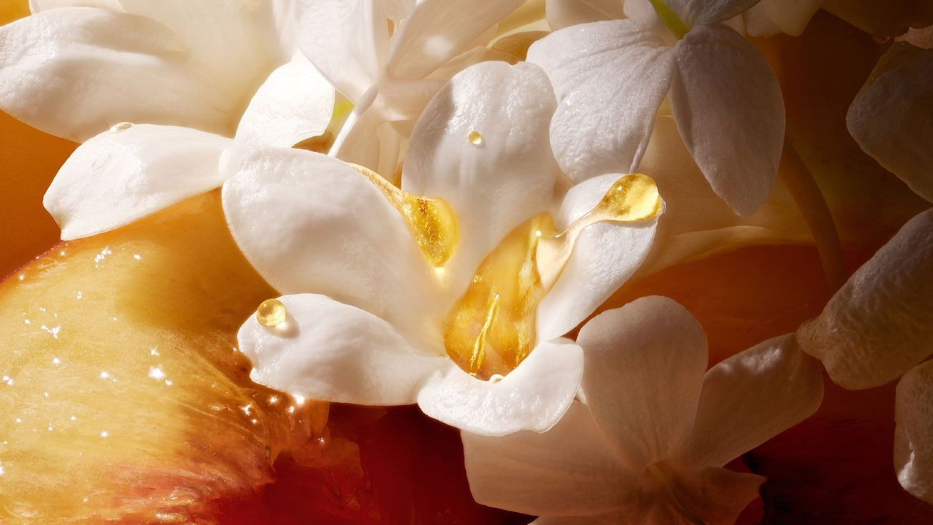 Fragrance Notes Explained: Why Your Perfume Has a Personality Arc