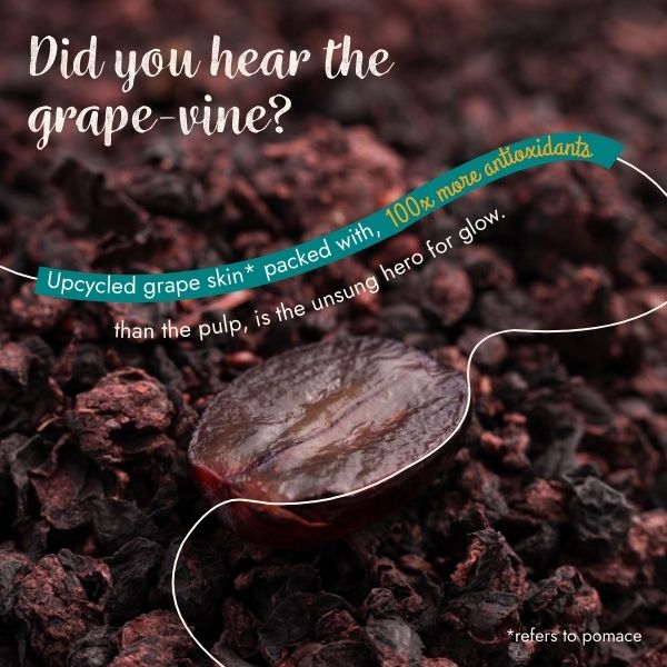 All Things Grape Bundle